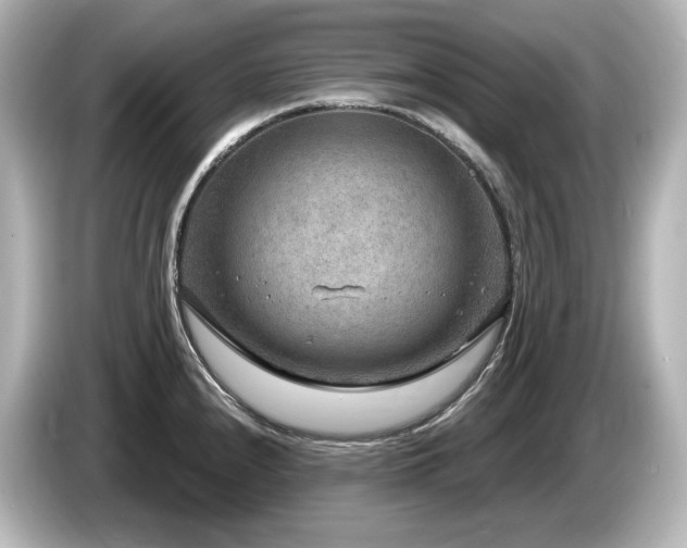 X0000085761240200703161110