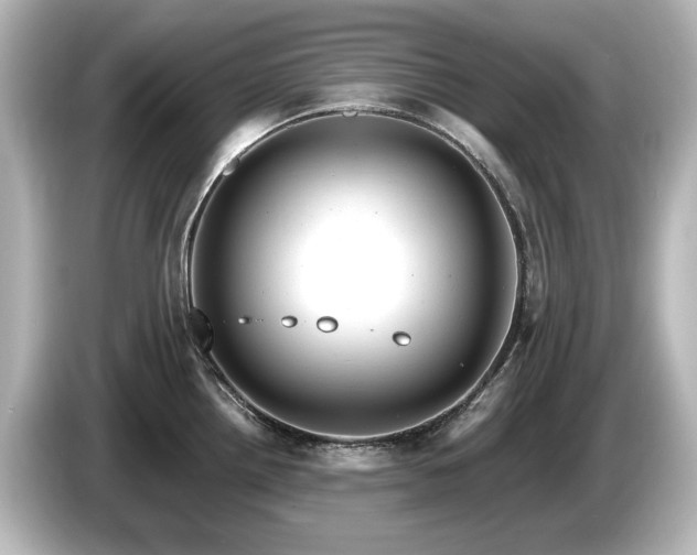 X0000085761242200703161110