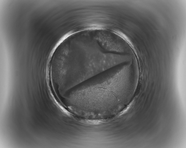 X0000085761243200703161110
