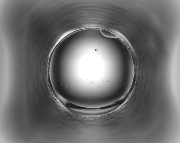 X0000085761244200703161110