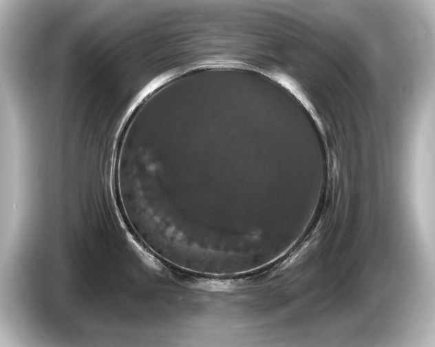 X0000085761245200703161111