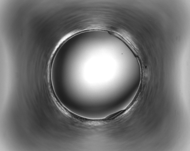 X0000085761246200703161111