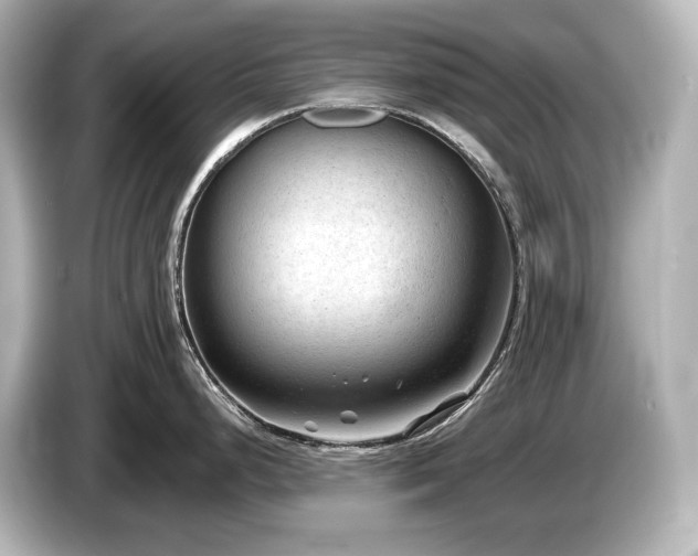 X0000085761248200703161111
