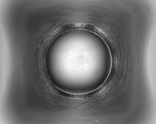 X0000085761249200703161110
