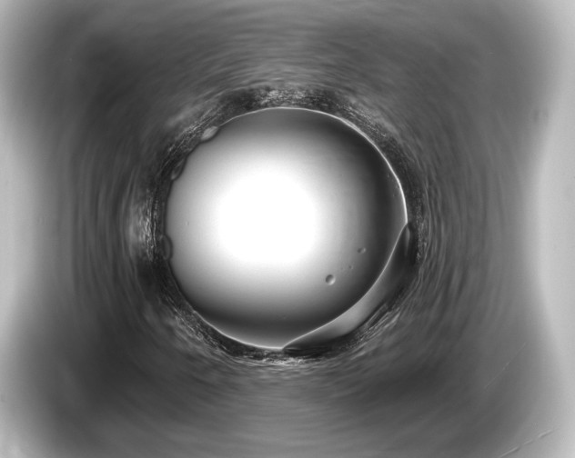 X0000085761250200703161110