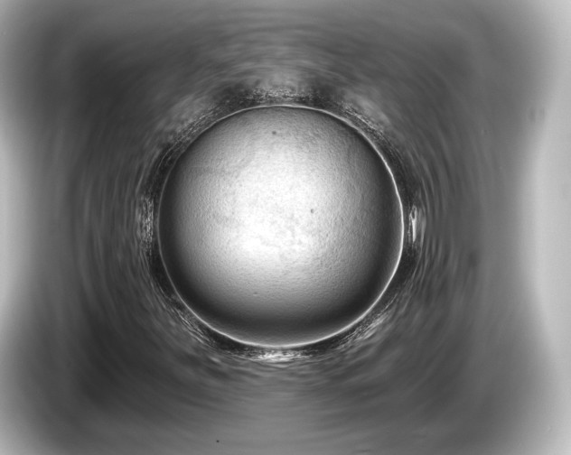 X0000085761251200703161110