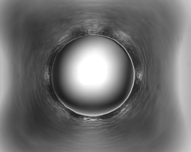 X0000085761252200703161110