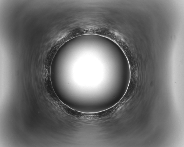X0000085761253200703161110
