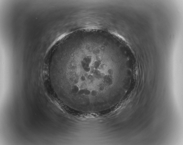 X0000085761255200703161110