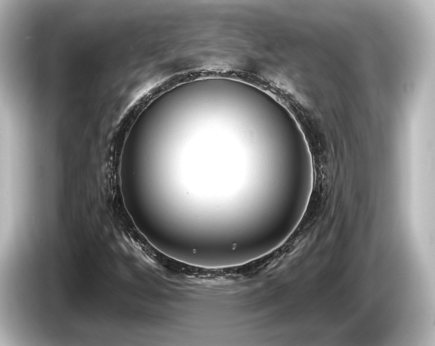 X0000085761256200703161110
