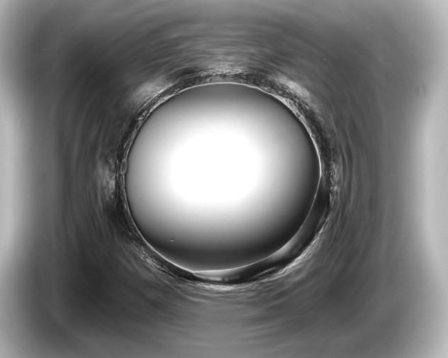 X0000085761257200703161110