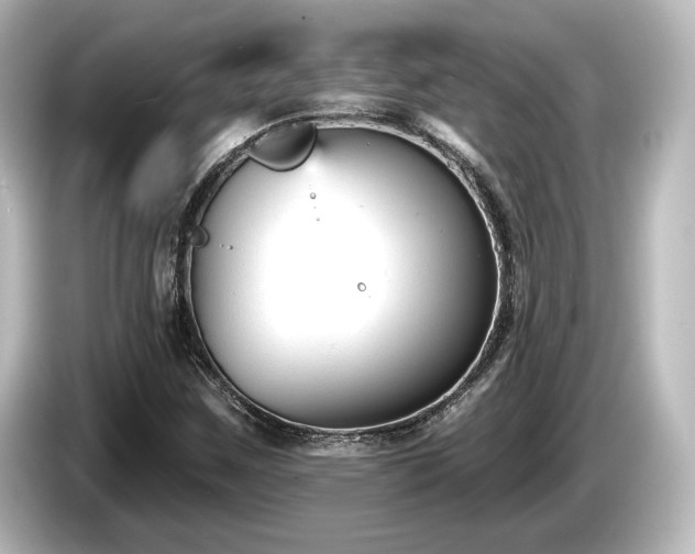 X0000085761259200703161110