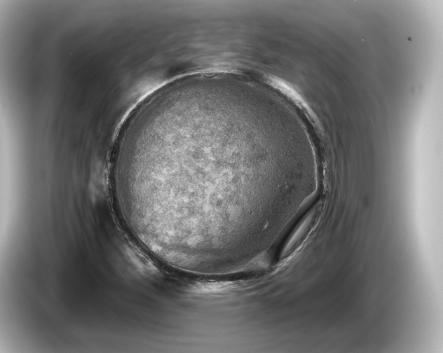 X0000085761260200703161110