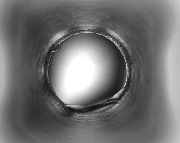 X0000085761261200703161110