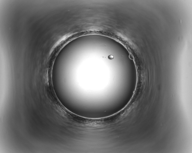 X0000085761262200703161110