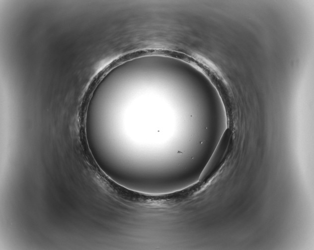 X0000085761264200703161110