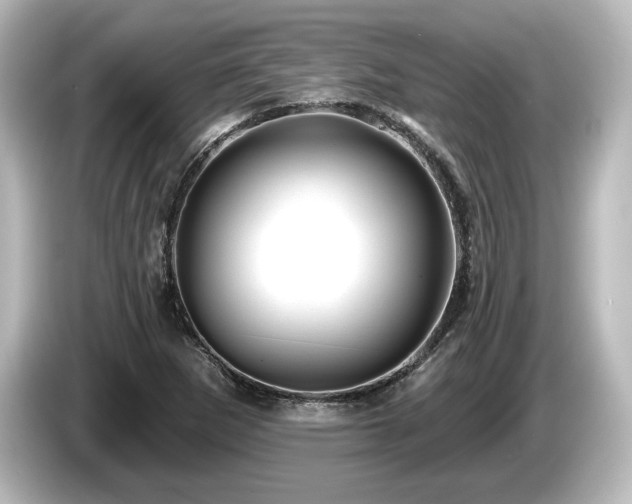 X0000085761265200703161110