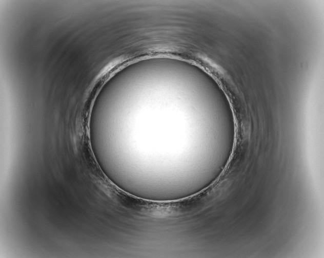 X0000085761266200703161110