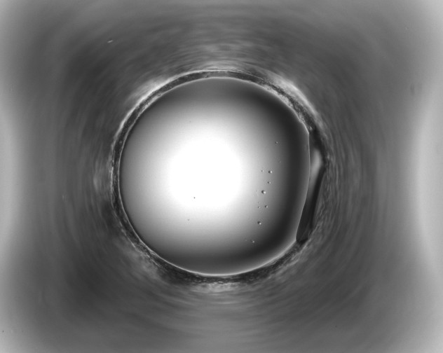 X0000085761268200703161110