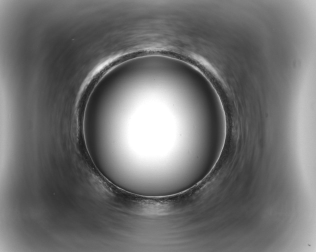 X0000085761270200703161110