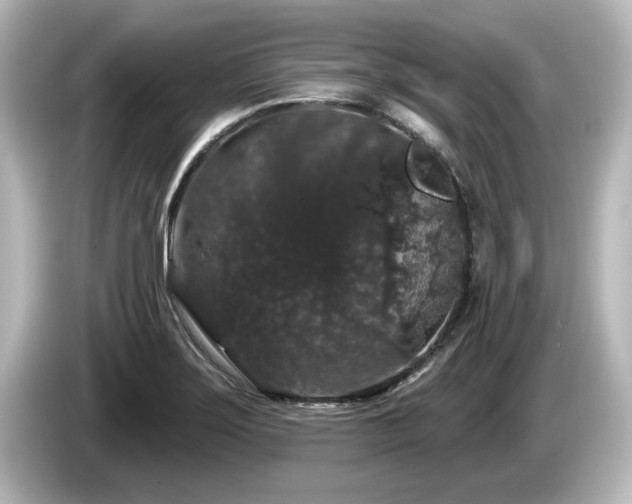 X0000085761275200703161110