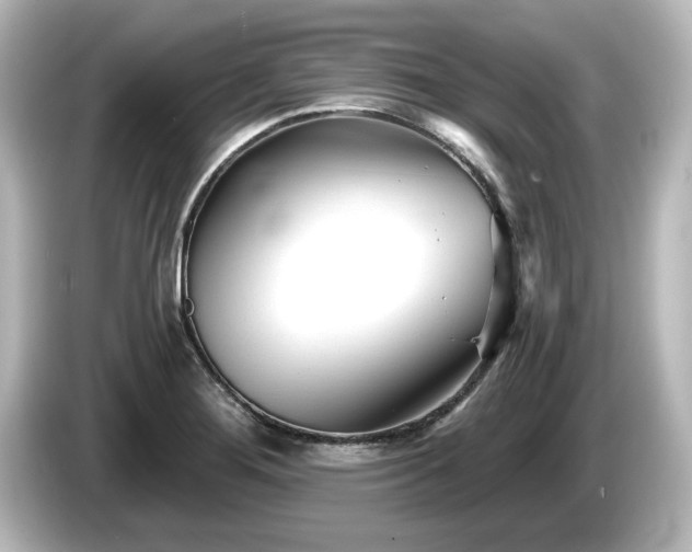 X0000085761276200703161110