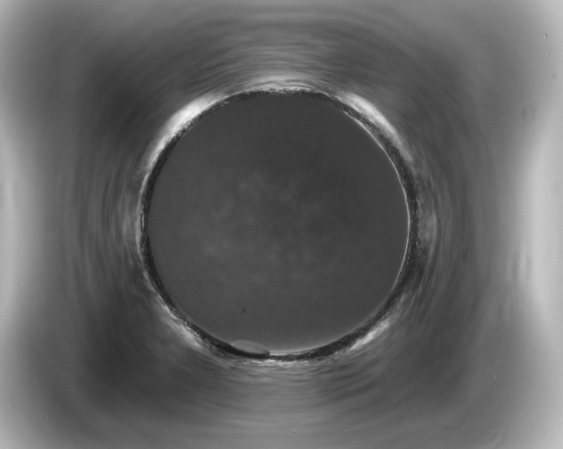 X0000085761277200703161109