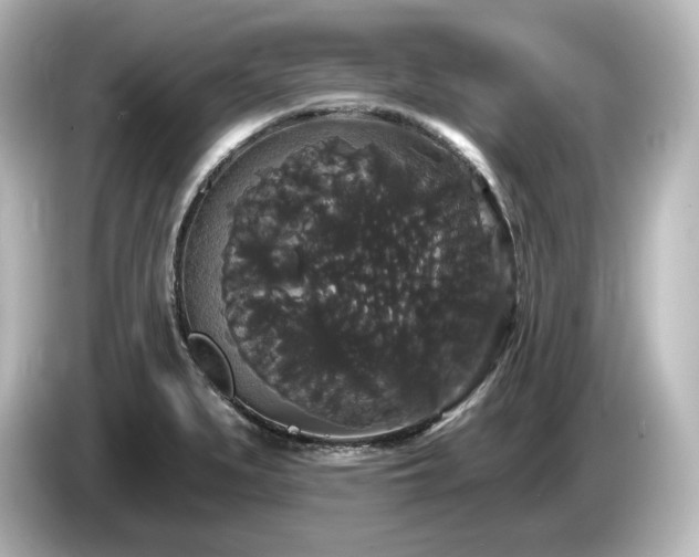 X0000085761279200703161109