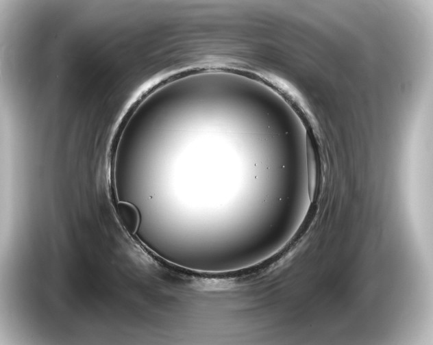 X0000085761280200703161109