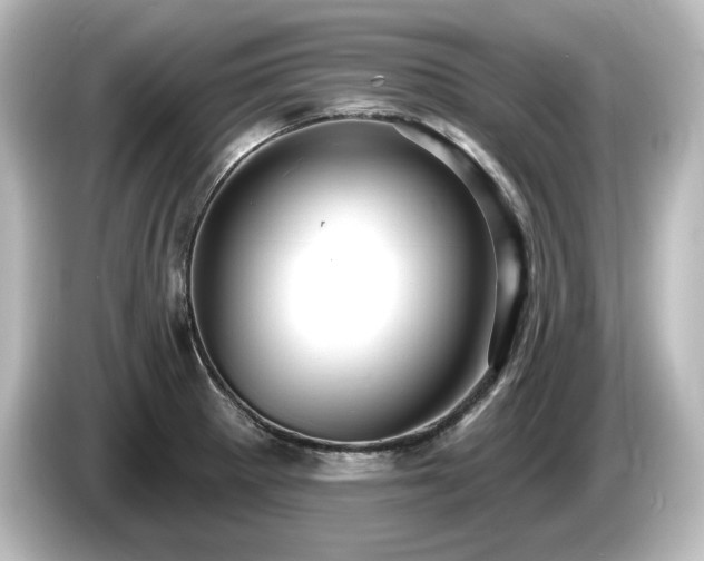 X0000085761281200703161109