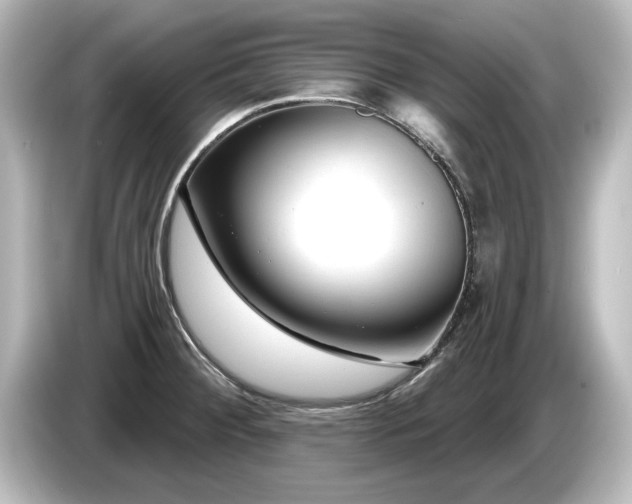 X0000085761284200703161109