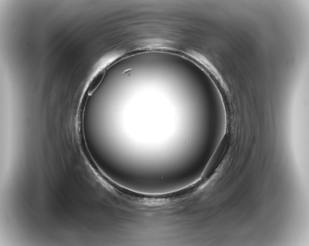 X0000085761285200703161109