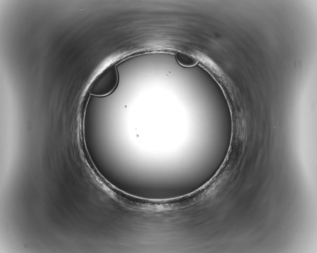 X0000085761286200703161109