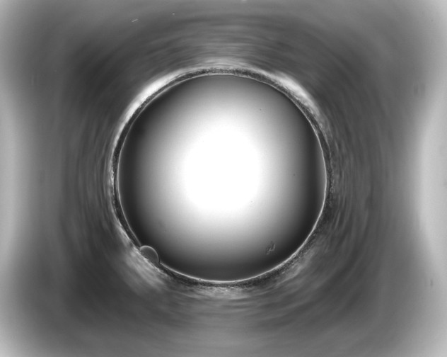 X0000085761287200703161109