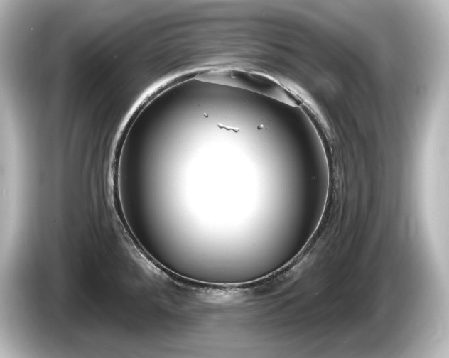 X0000085761288200703161109