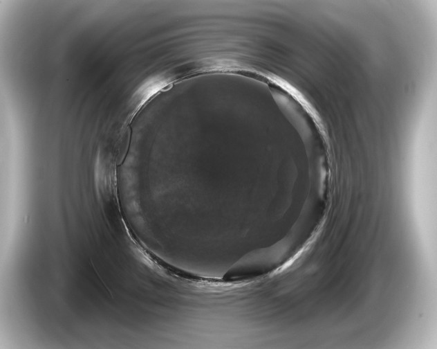 X0000085761289200703161109