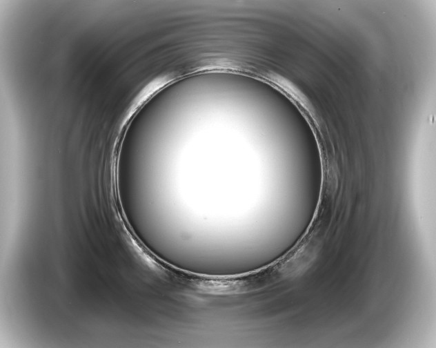 X0000085761290200703161109