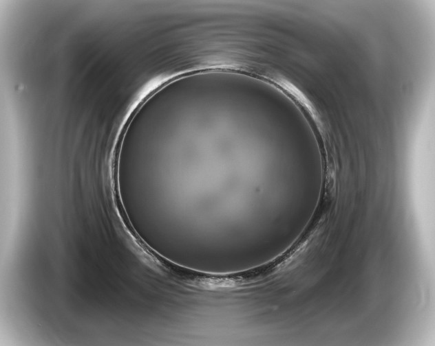 X0000085761291200703161109