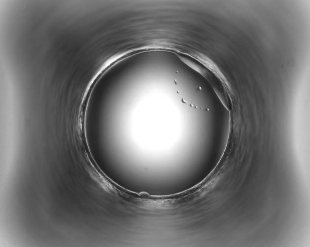 X0000085761292200703161109