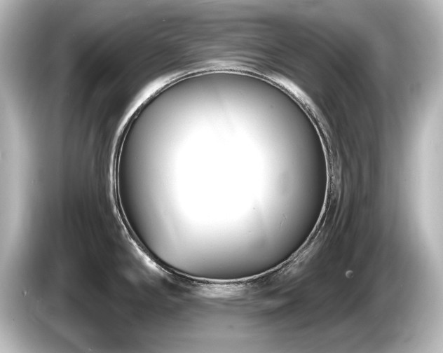 X0000085761294200703161109