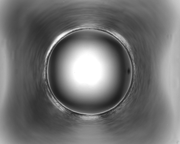 X0000085761296200703161109