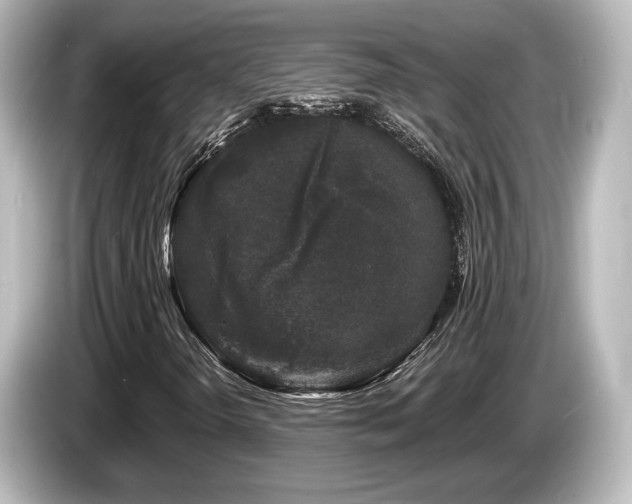 X0000085761298200703161109