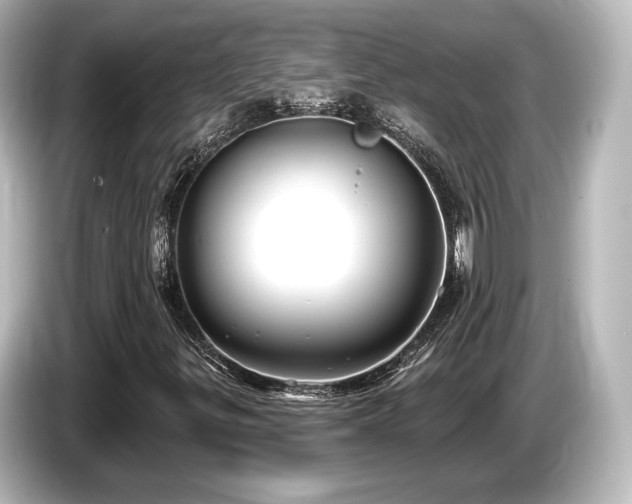 X0000085761299200703161109
