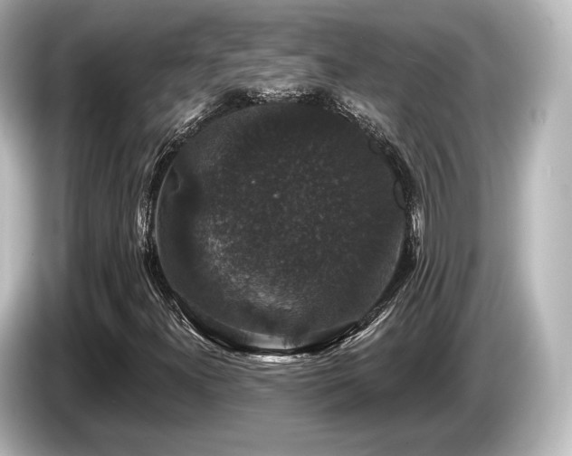X0000085761300200703161109