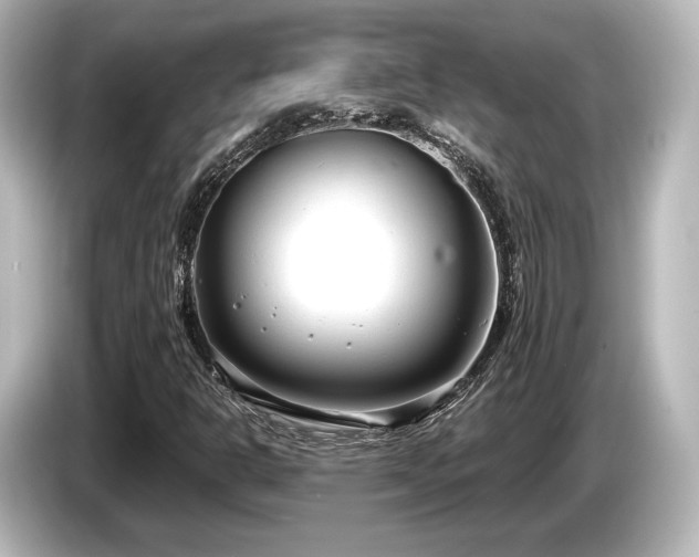 X0000085761302200703161109