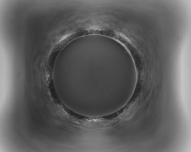 X0000085761303200703161109