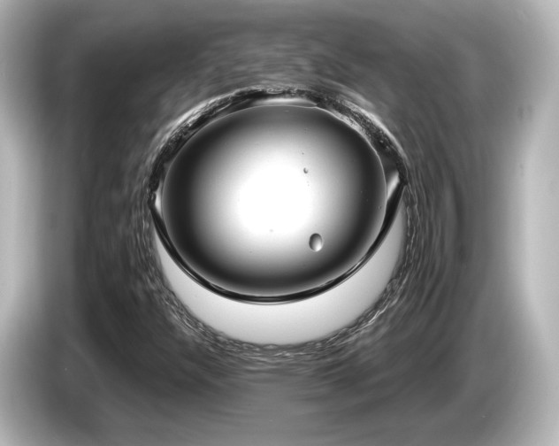 X0000085761304200703161109