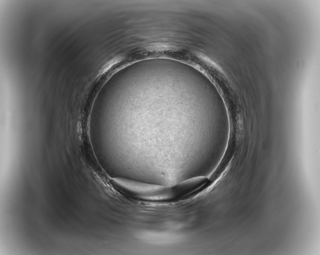 X0000085761305200703161109