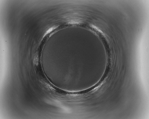 X0000085761306200703161109
