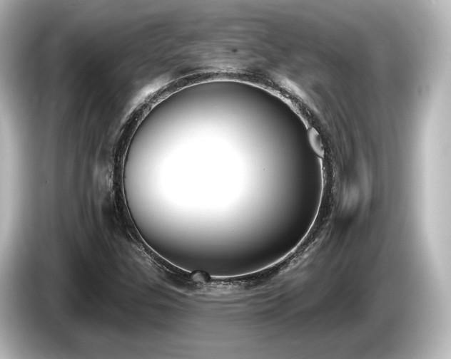 X0000085761307200703161109